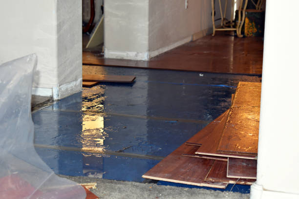 Professional Basement Flood Cleanup technician working in Isanti, MN